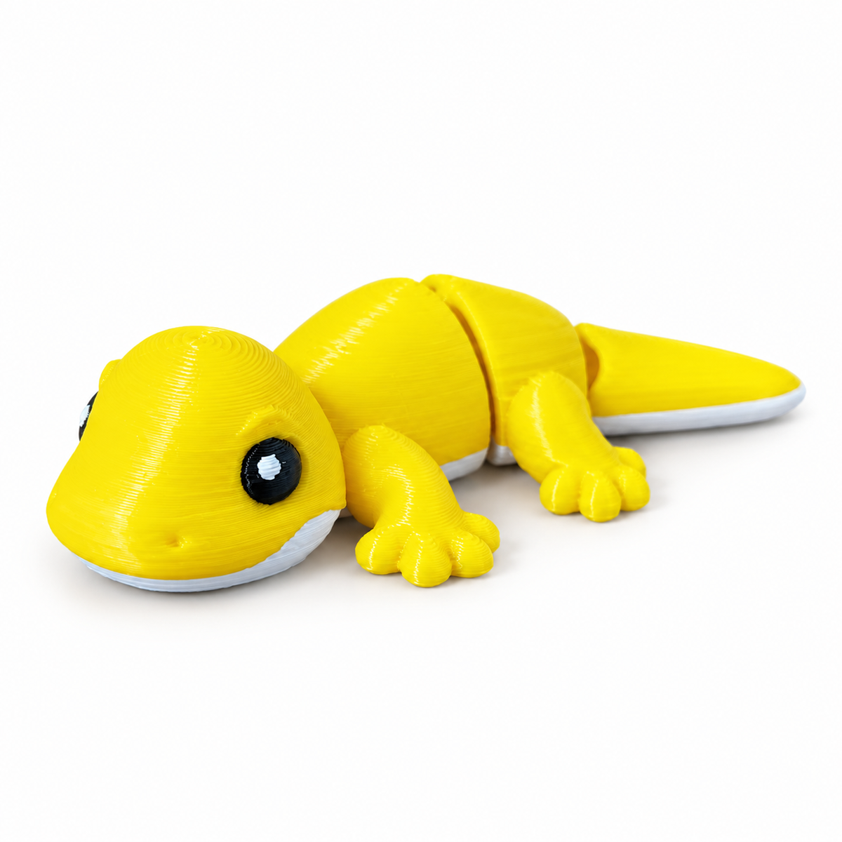 Mini Lagarto, fundo branco
