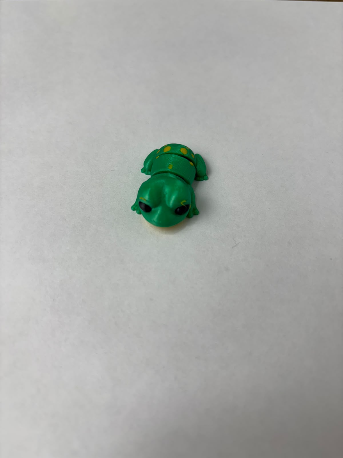 Mini Sapo, foto real