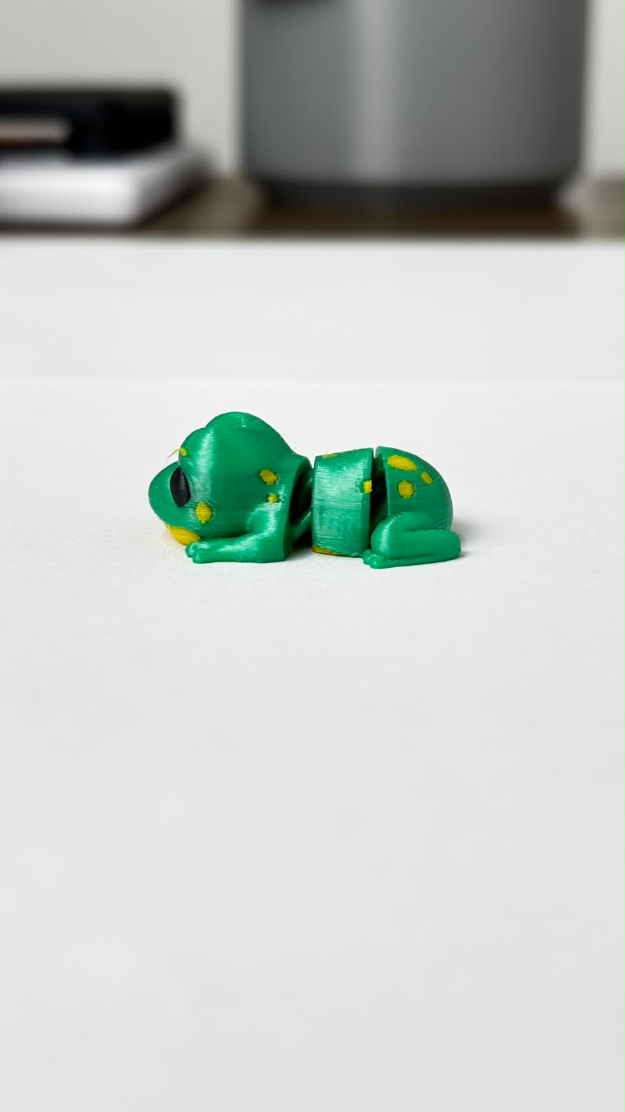 Mini Sapo, foto real