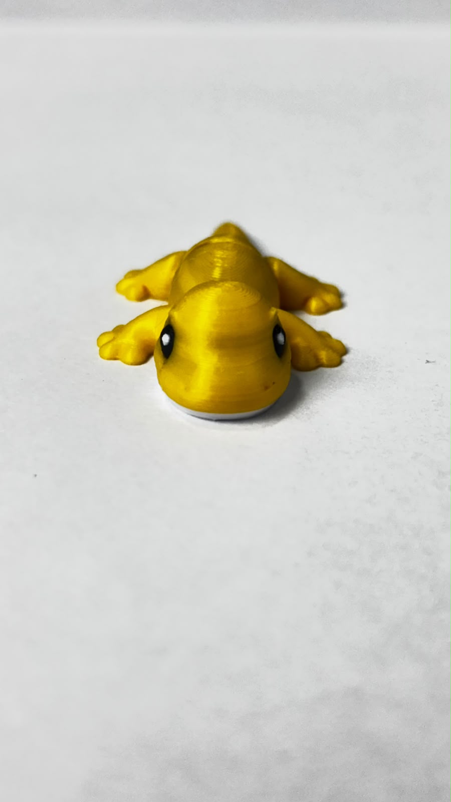 Mini Lagarto, foto real