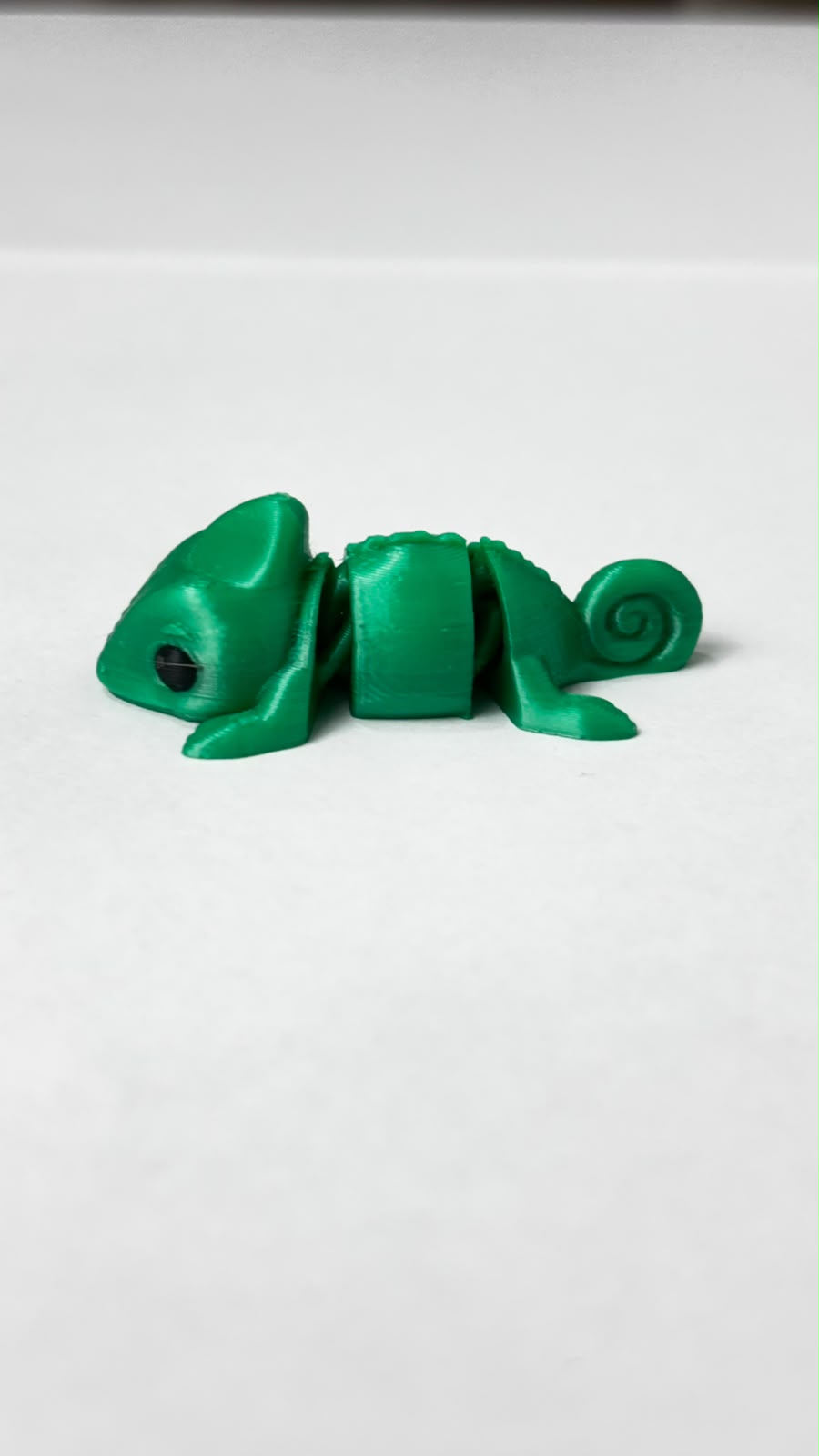 Mini Camaleão, foto real