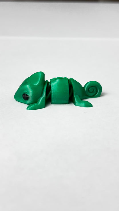 Mini Camaleão, foto real
