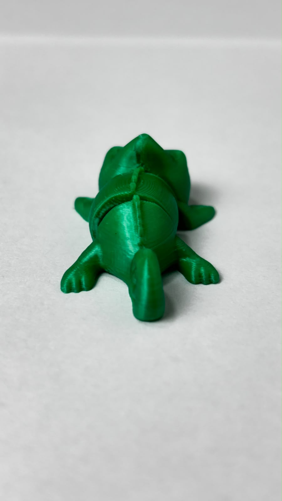 Mini Camaleão, foto real