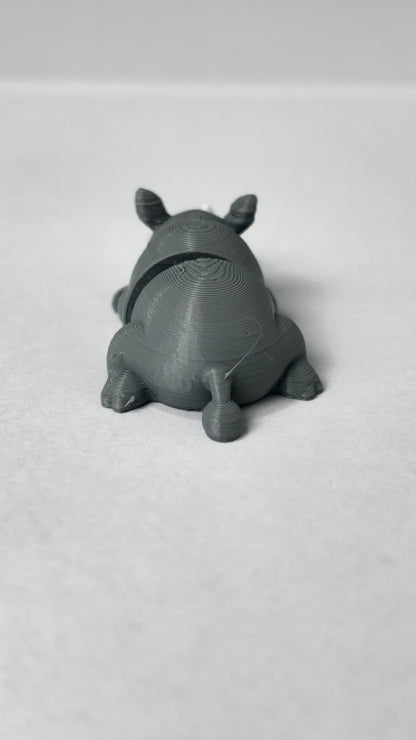 Mini Rinoceronte, foto real