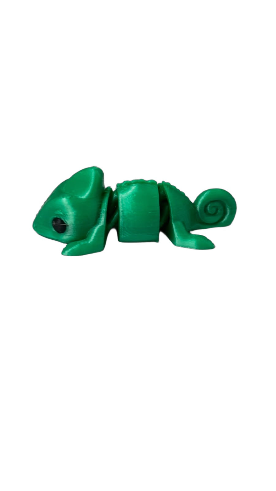 Mini Camaleão, fundo branco
